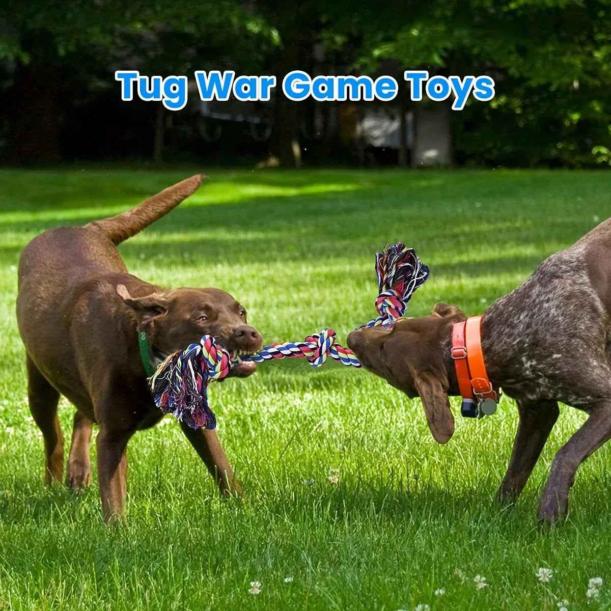 Indestructible Knot Dog Toy