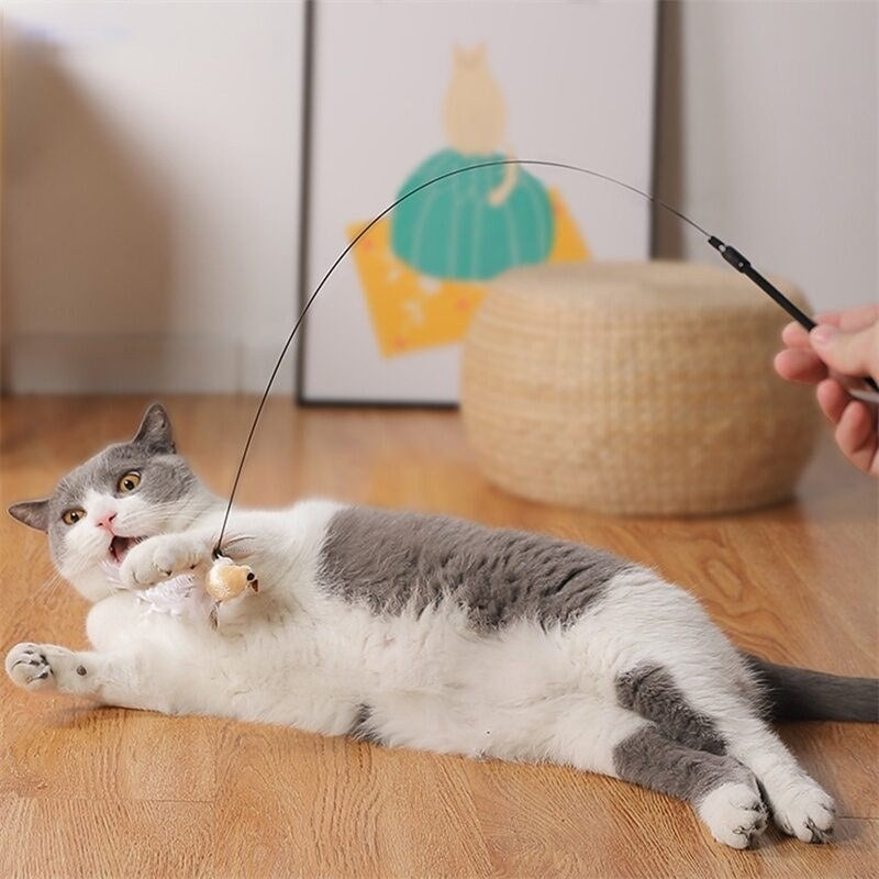 Suction Cup Wand Toy for Cats