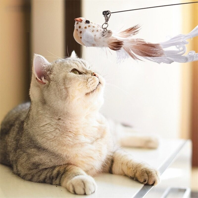Suction Cup Wand Toy for Cats
