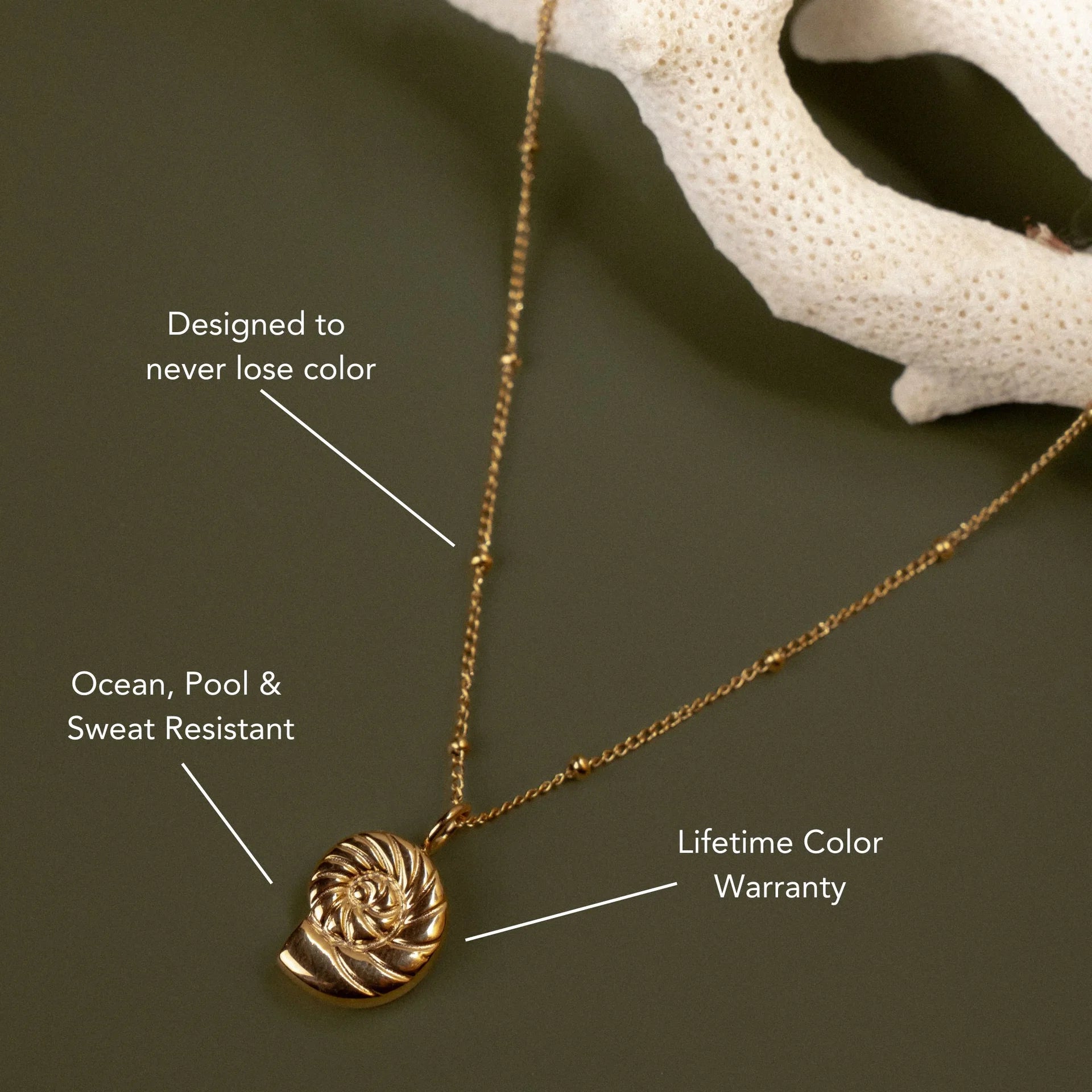 Nautilus Necklace β 925 Sterling Silver