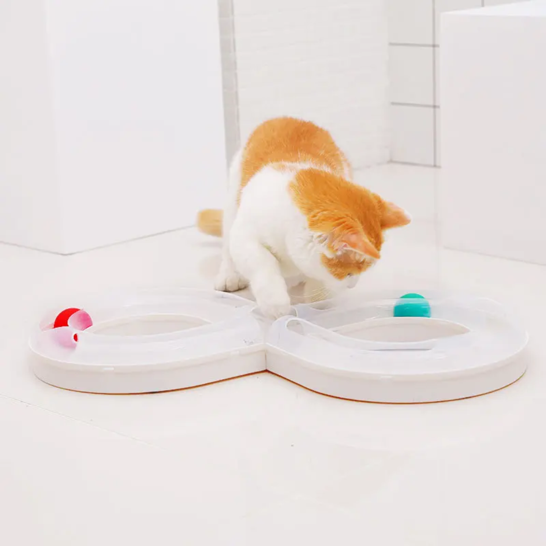 Detachable Track Toy for Pets