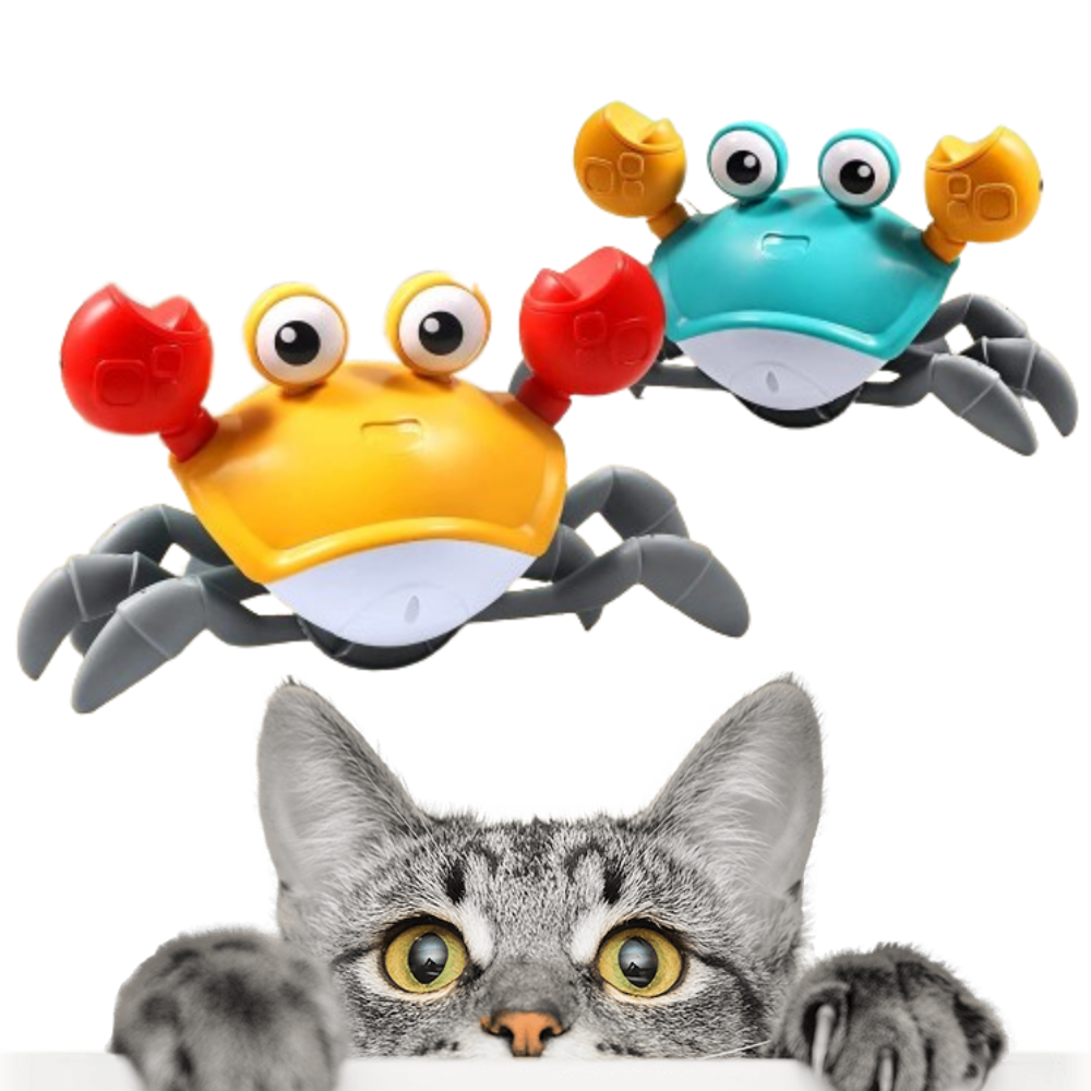 Electric Crab Toy for Pets