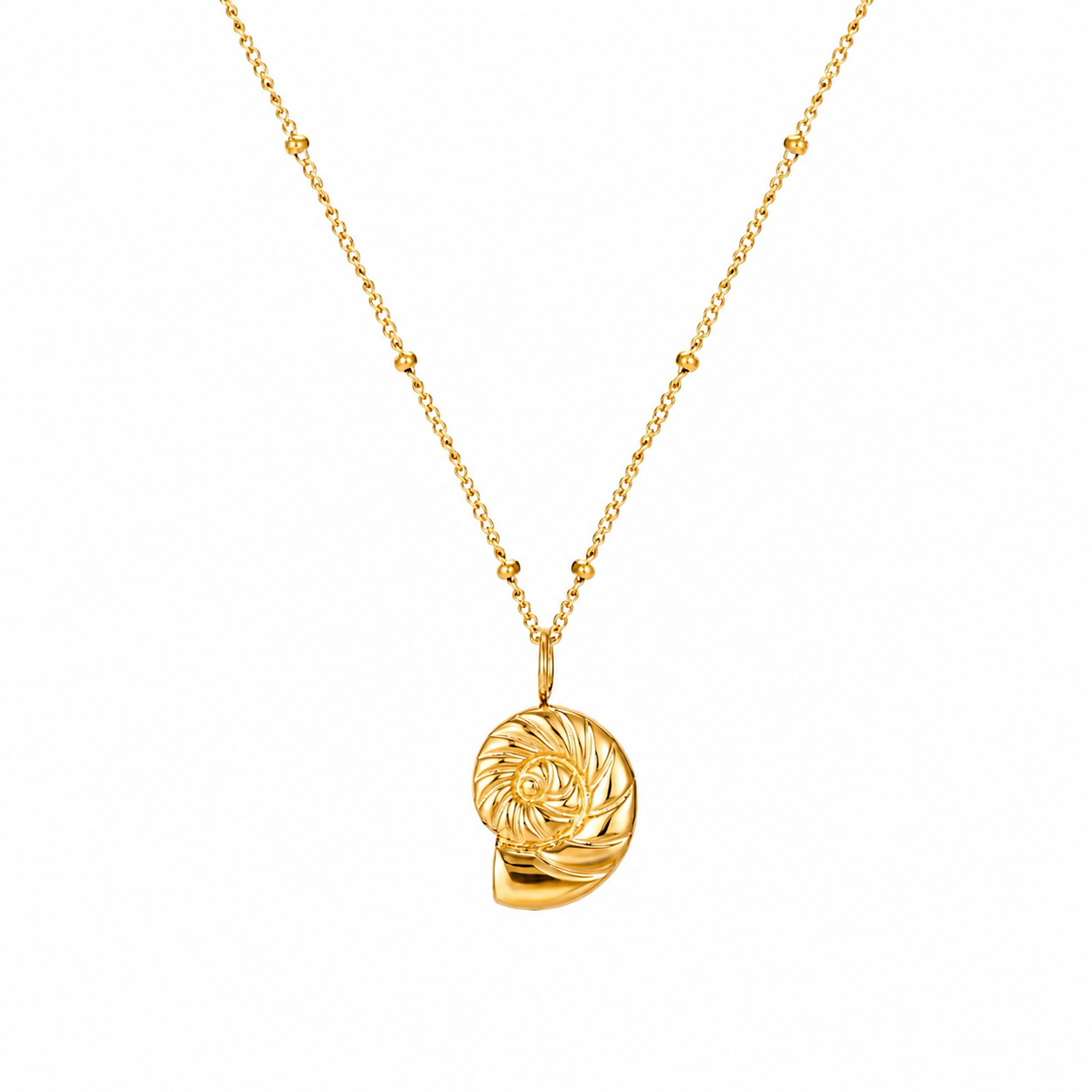 Nautilus Necklace – 925 Sterling Silver