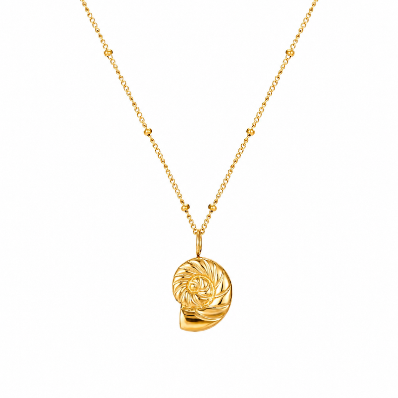 Nautilus Necklace – 925 Sterling Silver
