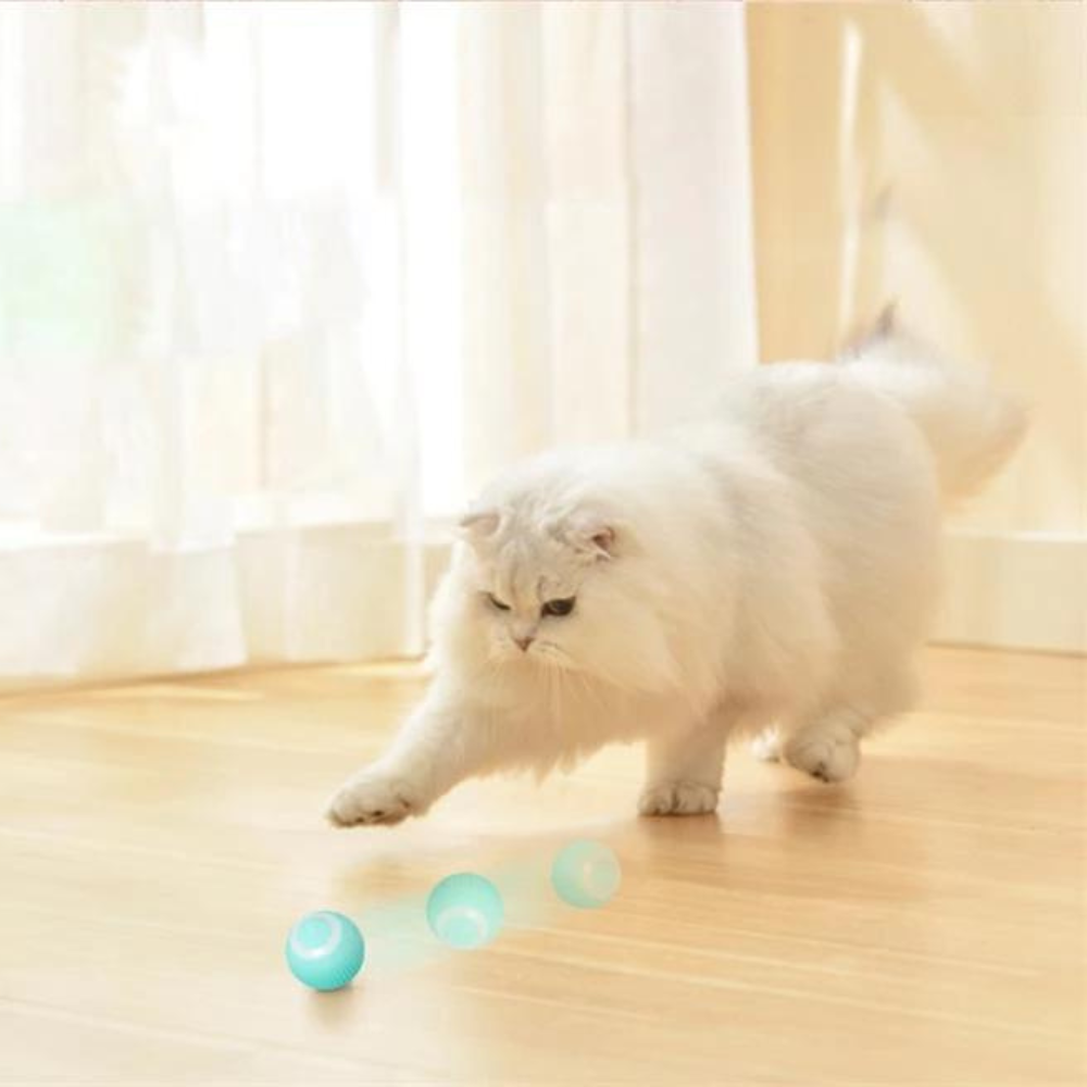 Interactive Electric Ball Toy for Cats