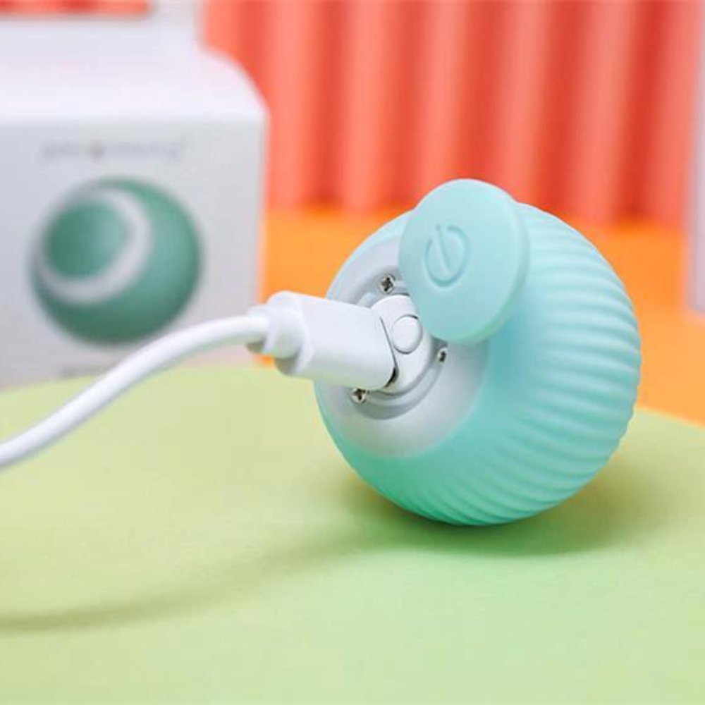 Interactive Electric Ball Toy for Cats