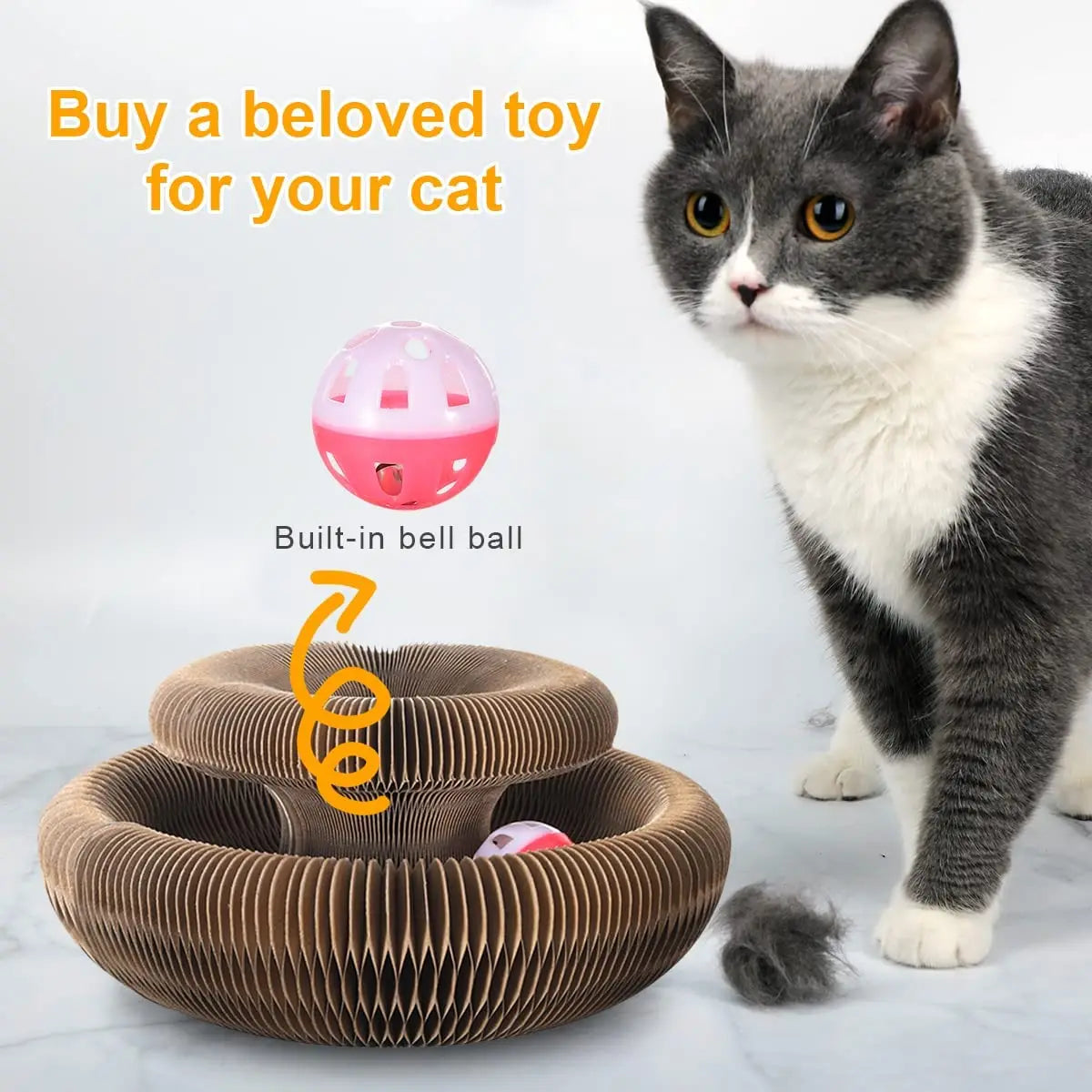 Magic Cat Scratch & Play