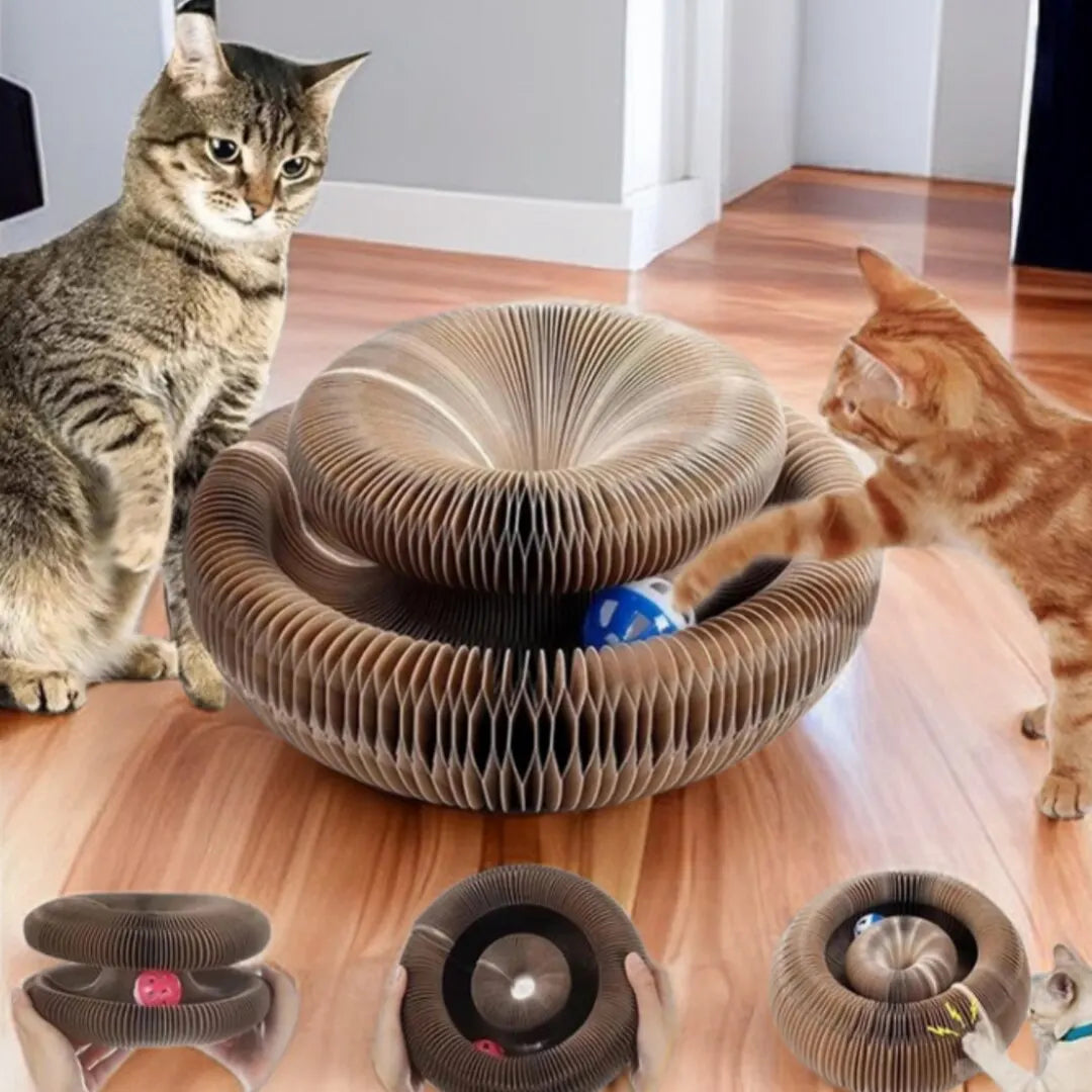 Magic Cat Scratch & Play