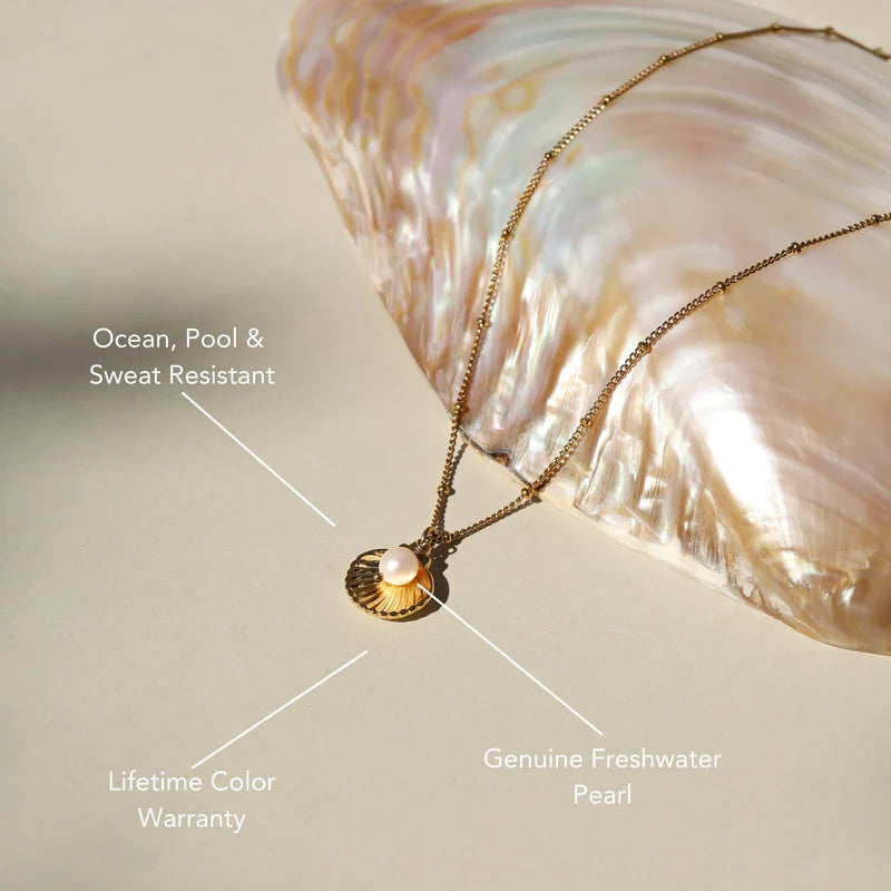 Seashell & Pearl Necklace – 925 Sterling Silver