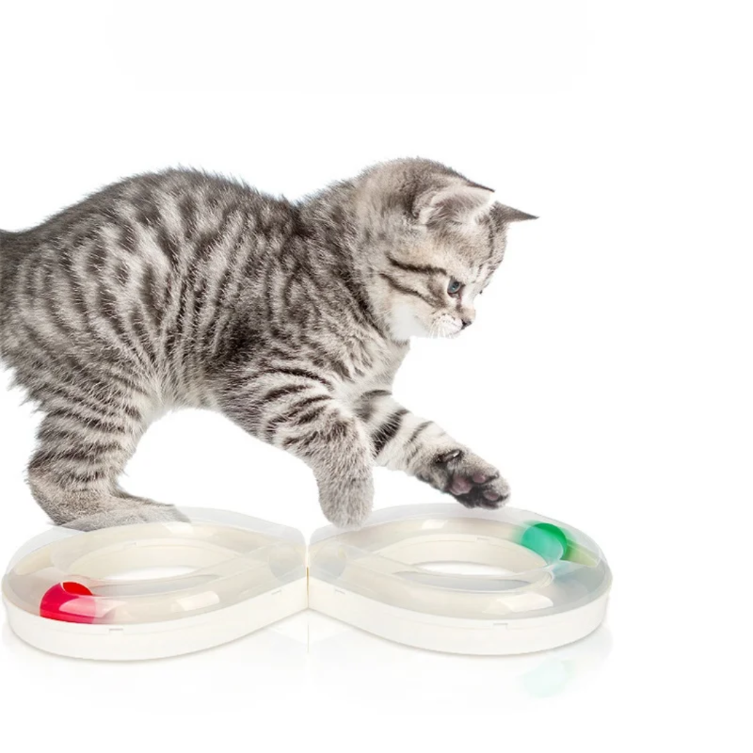 Detachable Track Toy for Pets