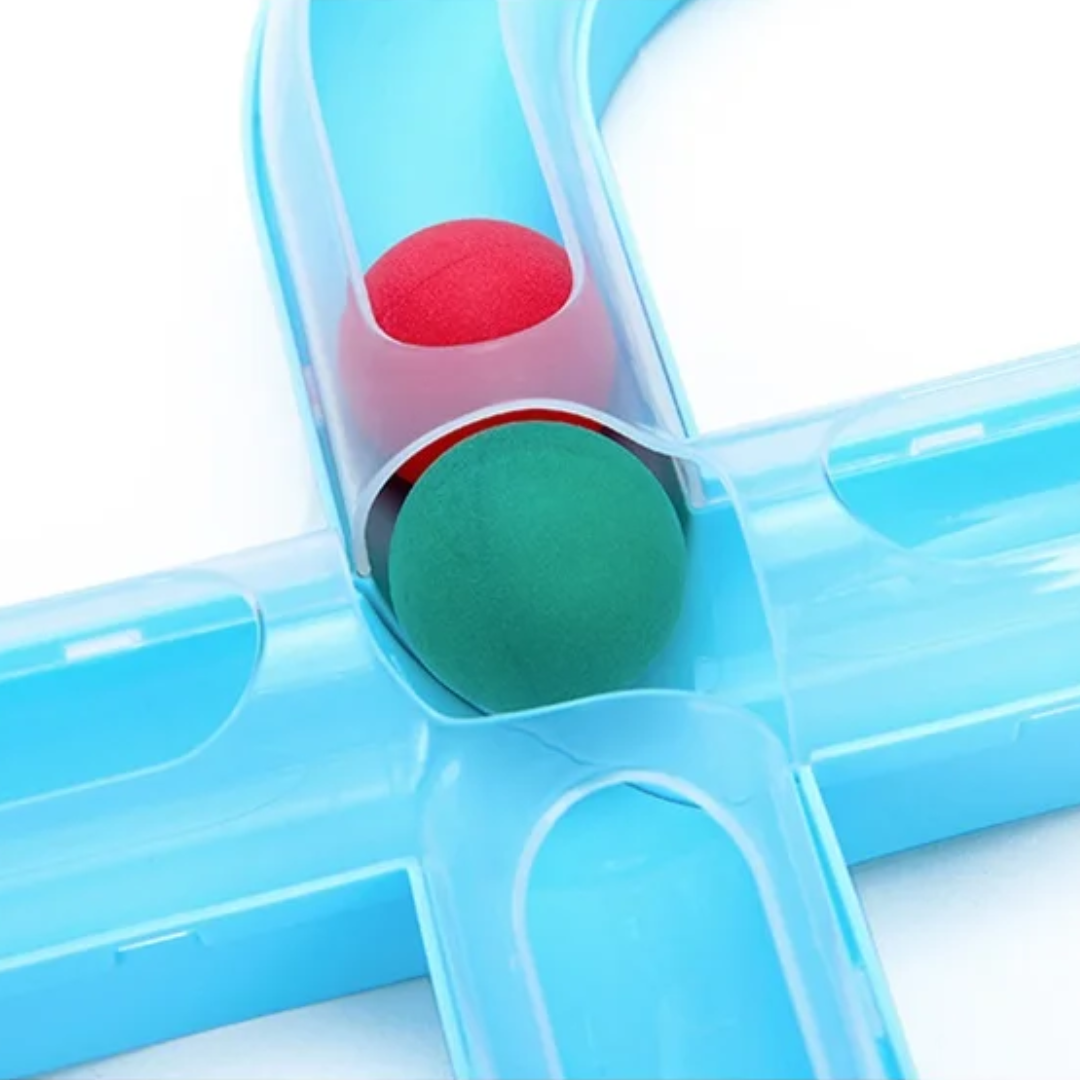 Detachable Track Toy for Pets