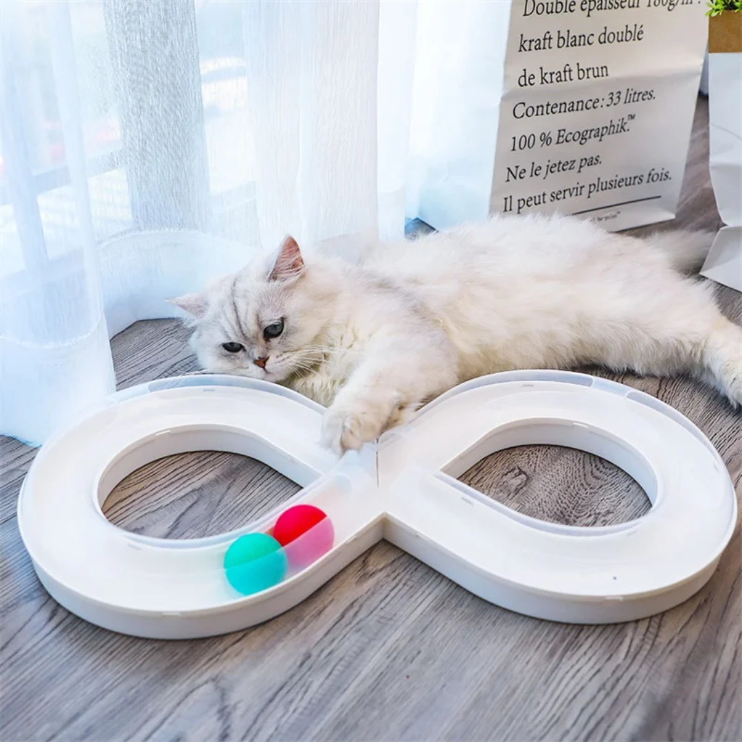 Detachable Track Toy for Pets